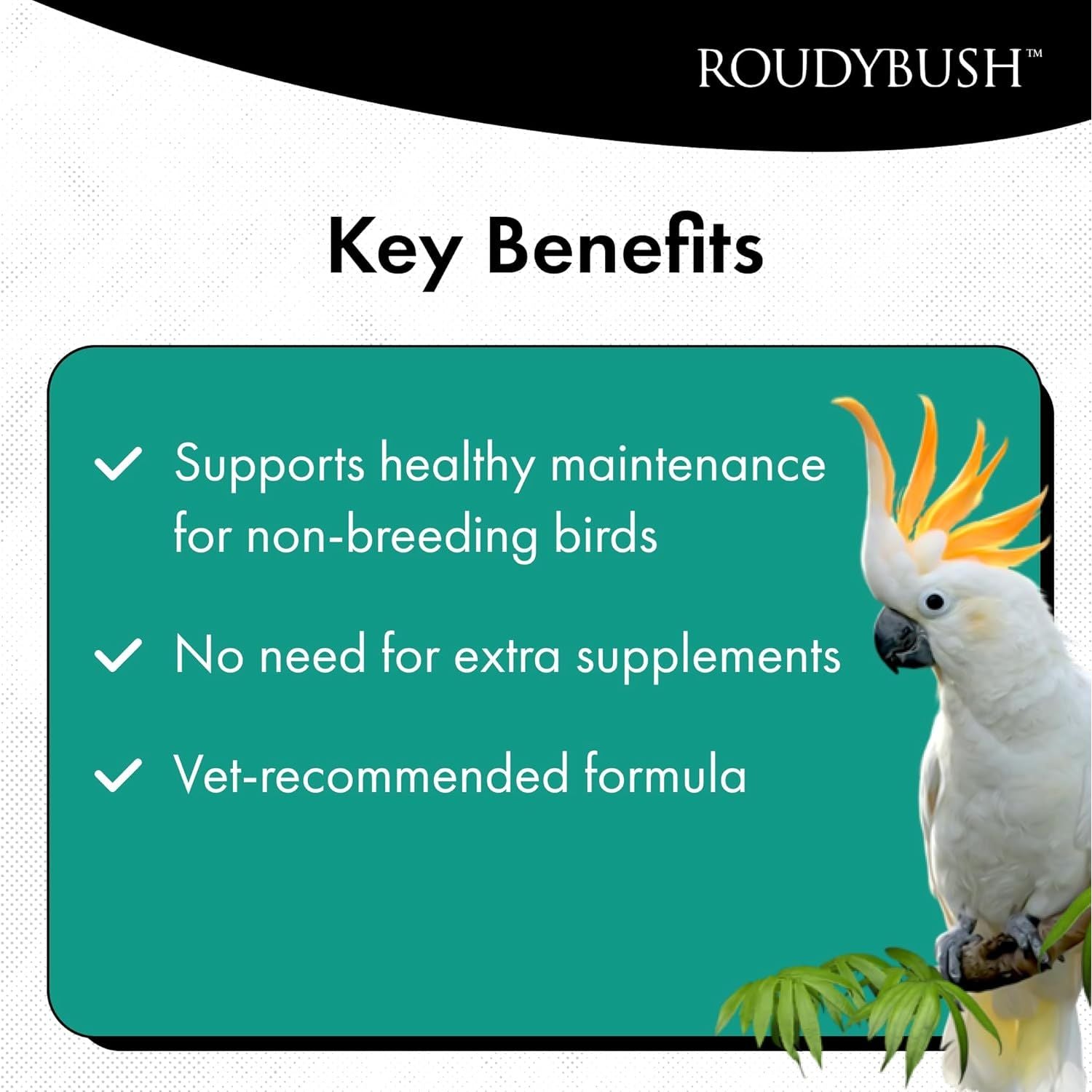 Buy now Roudybush Daily Maintenance Food for Birds - Scientifically Formulated Bird Feed - Bird Food Pellets w/Corn, Wheat, Soy & More - Nutritious & Healthy Feed for Birds (Medium, 22oz) at indiglob india