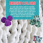 Buy now iDIY Chunky Yarn 3 Pack Skeins (72 Yards) - Dark Green - Fluffy Chenille Yarn Perfect for Soft Throw and Baby Blankets, Arm Knitting, and DIY Crafts and Projects! Chrochet #20 or 25 Homemade Gift at indiglob india
