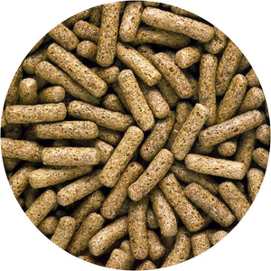 Hikari 330338 Saki-Turtle Sticks, 20 oz, Black