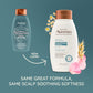 Aveeno Scalp Soothing Rose Water Chamomile Blend Shampoo, Fresh, 12 Fl Oz
