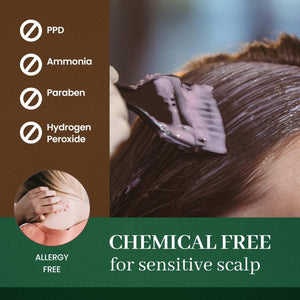 PPD Free Hair Dye, Ammonia Free Hair Color Dark Brown Contains Sun Protection Odorless No more Eye and/or Scalp Irritations From Coloring For Sensitive Scalp