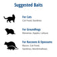 Buy now Havahart Large 2 Door Humane Catch and Release Live Animal Trap for Armadillos, Beavers, Bobcats, Small Dogs, Cats, Foxes, Groundhogs, Nutria, Opossums, Raccoons, Live Catch Trap for Stray Dogs 1045SR at indiglob india