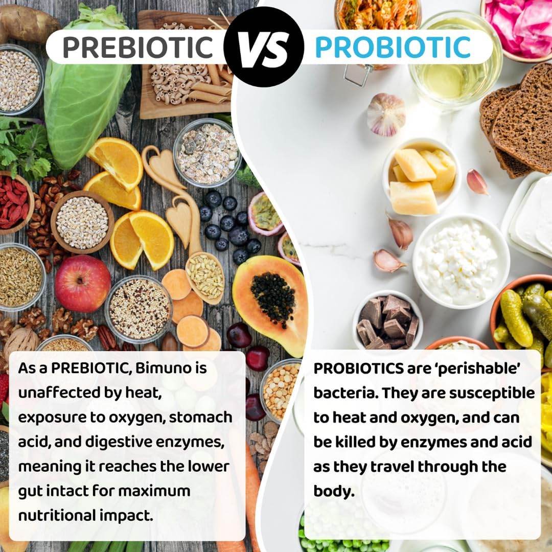 BIMUNO Original | Daily Gut Health Prebiotic | High Fiber Supplements, Vegetarian, Halal | 1 Pack (30 Sachets) - My Store