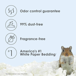 Buy now Kaytee Clean & Cozy White Paper Bedding, Made for Small Animals, 24.6 Liters at indiglob india