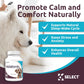 K9 Select Melatonin for Dogs - Calming Aid Tasty Dog Supplement - Helps Overall Health with Quiet Moments and Composure - Reduce Stress Calming Treats for Small Dogs - 1 mg, 180 Vegetable Capsules
