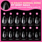 Buy now UNA GELLA Almond Gel Nail Tips, 504PCS Pre Etched Clear Fake Nails Tips Medium Almond Shape - 12 Sizes Full Cover Soft Acrylic Press On Nail Extensions No C Curve Gift for Diy at Home at indiglob india