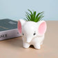Cute Animal Elephant Shaped Ceramic Succulent Cactus Air Plant Flower Pots Planters-Plant Not Included (Pink&White)