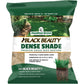 Jonathan Green (10622) Black Beauty Dense Shade Grass Seed - Cool Season Lawn Seed (1 lb)