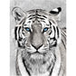 NAIMOER Tiger Diamond Art Kits for Adults,5D Diamond Art Tiger Kits DIY Full Drill Animals Diamond Art Kits for Home Wall Decoration Gifts (30X40cm)
