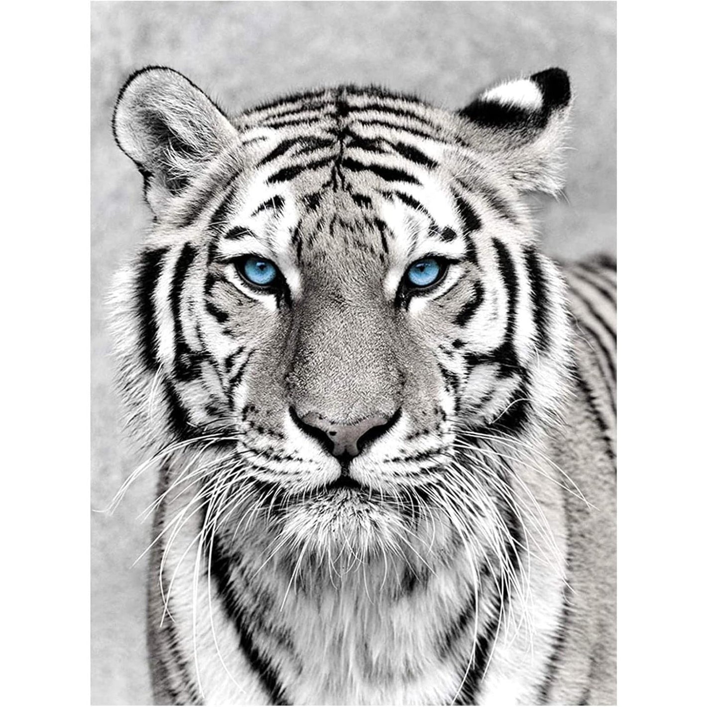 NAIMOER Tiger Diamond Art Kits for Adults,5D Diamond Art Tiger Kits DIY Full Drill Animals Diamond Art Kits for Home Wall Decoration Gifts (30X40cm)