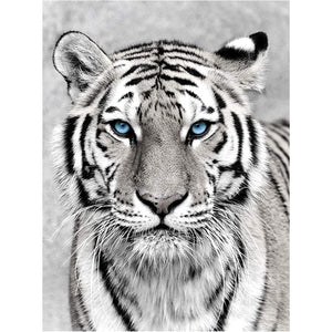 NAIMOER Tiger Diamond Art Kits for Adults,5D Diamond Art Tiger Kits DIY Full Drill Animals Diamond Art Kits for Home Wall Decoration Gifts (30X40cm)