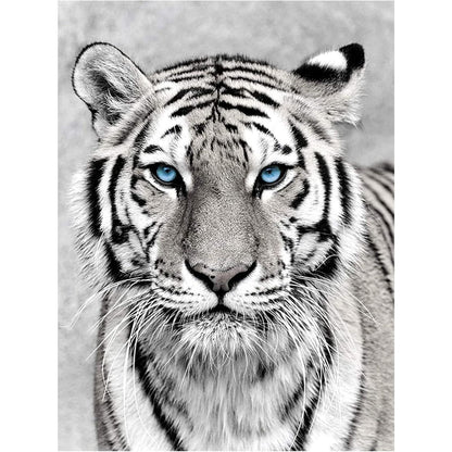 NAIMOER Tiger Diamond Art Kits for Adults,5D Diamond Art Tiger Kits DIY Full Drill Animals Diamond Art Kits for Home Wall Decoration Gifts (30X40cm)