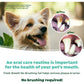 TropiClean Clean Teeth Gel for Dogs | Dog Dental Care | Dog Toothpaste | Breath Freshener | Easy Teeth Cleaning | Made in the USA | 2 oz