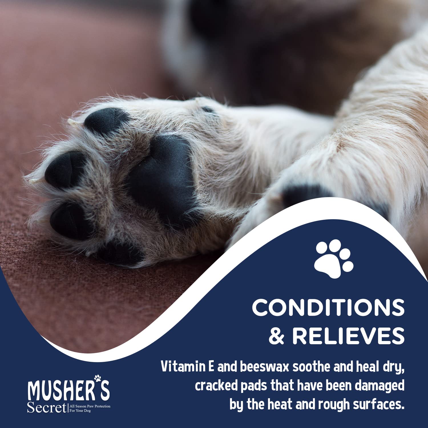 Buy now Musher’s Secret Dog Paw Wax 200g – Natural Paw Balm for Dogs with Vitamin E – Helps Protect Paws from Hot Pavement, Ice & Salt – Moisturizes Cracked Pads – Lick-Safe, Non-Toxic Dog Paw Protector at indiglob india