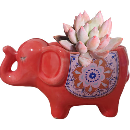 Cute Animal Elephant Shaped Ceramic Succulent Cactus Air Plant Flower Pots Planters-Plant Not Included (Pink&White)