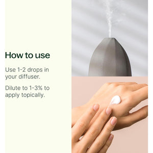 Plant Therapy Vetiver Essential Oil 100% Pure, Undiluted, Natural Aromatherapy, Therapeutic Grade 10 mL (1/3 oz)