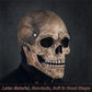 RRANYF Creepy Halloween Full Head Skull Mask with Movable Jaw, Adult Entire Head Realistic Latex Helmet, Scary Skeleton