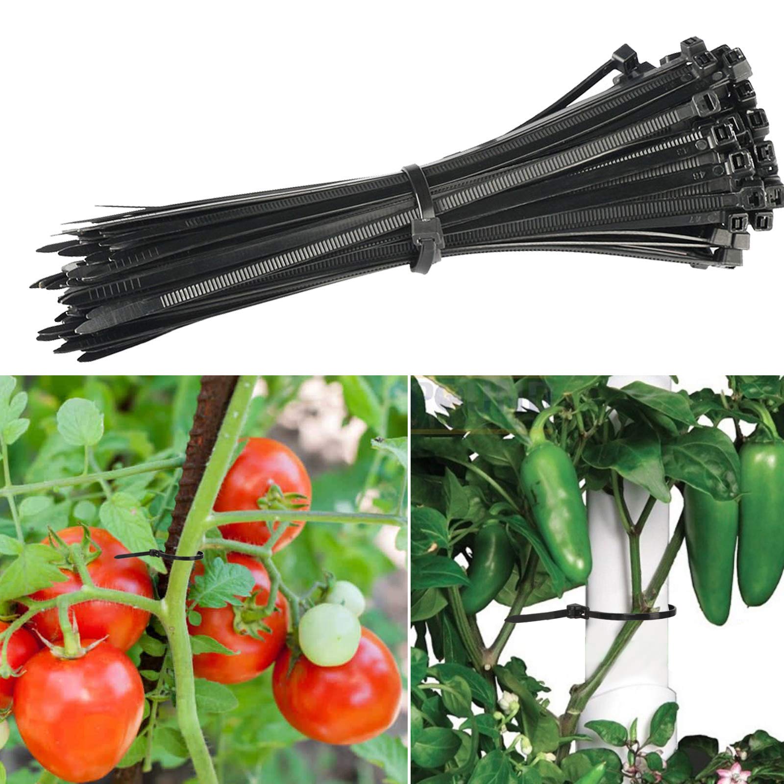 Buy now 100Pcs 8 Inch Heavy Duty Industrial Zip Toes 40lbs Tensile Strength Releasable Black Tie Wraps Reusable Zip Toes Tie Straps For Garden Plant Secure Vine, Home Office at indiglob india