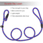 Dog Rope Leash, 5 FT Pet Slip Lead, Dog Training Leash, Standard Adjustable Pet Nylon Leash for Small Medium Dogs 10-80 lb Walking(Blue)