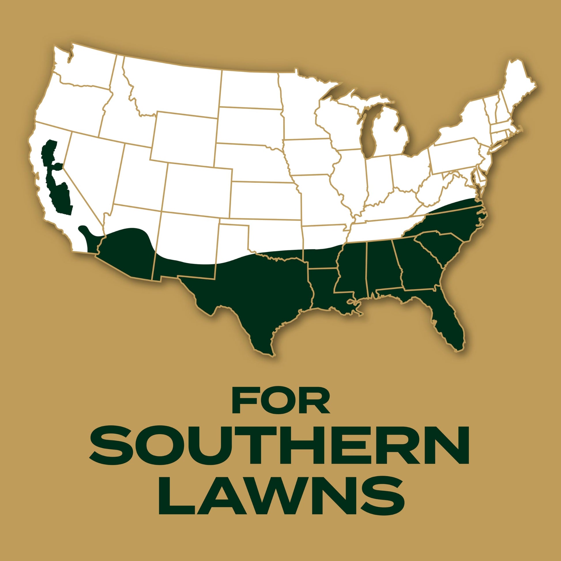 Buy now Scotts EZ Seed Patch and Repair Zoysia Grass, Combination Mulch, Grass Seed and Lawn Fertilizer, 3.75 lbs. at indiglob india