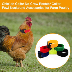 Upgrade Anti Crow Rooster Collar, Chicken Neckband Noise Free, No Crow Rooster Collar,Anti Noise Nylon Neck Belt to Keep Roosters Quiet,6 Pieces