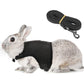 PETTOM Bunny Rabbit Harness with Stretchy Leash Cute Adjustable Buckle Breathable Mesh Vest for Kitten Small Pets Walking (Blue,S)