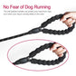 10 FT Strong Dog Leash Extra Heavy Duty Rock Climbing Rope Comfortable Padded Handle Highly Reflective Threads for Small Medium Large Dogs, 1/2 inch Diameter (Black Black) - My Store