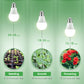 Buy now Grow Light Bulbs, Briignite LED Grow Light Bulb A19 Bulb, Full Spectrum Grow Light Bulb, Plant Light Bulbs E26 Base, 11W Grow Bulb 100W Equivalent, Grow Light for Indoor Plants, Seed Starting, 2Pack at indiglob india