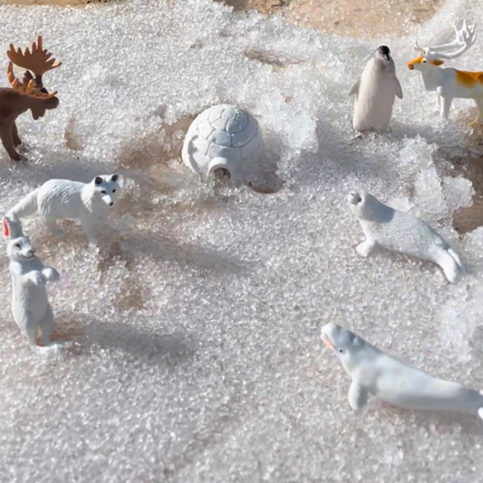 Buy now Safari Ltd Arctic TOOB With 10 Fun Figurines, Including A Harp Seal, Husky, Caribou, Arctic Rabbit, Killer Whale, Walrus, Arctic Fox, Beluga Whale, Igloo, And Polar Bear – For Ages 3 and Up at indiglob india