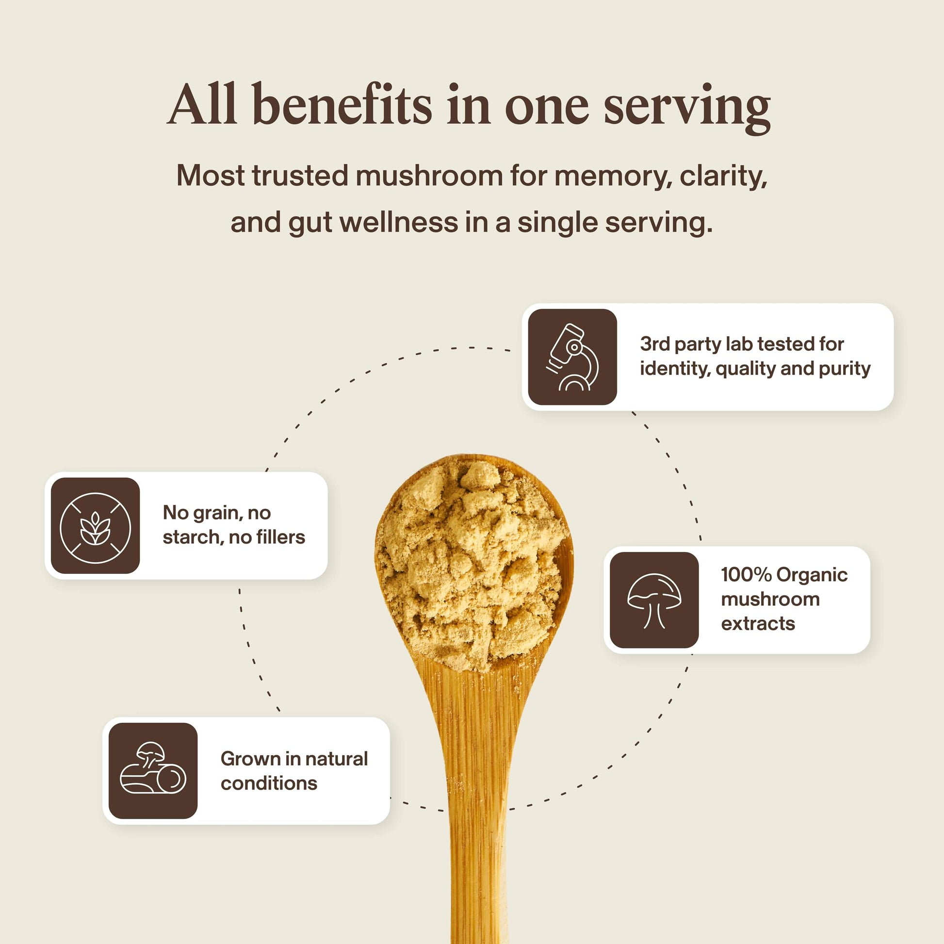 Buy now Real Mushrooms Lions Mane Mushroom Supplement - Organic Lions Mane Extract Powder for Overall Wellness with Adaptogens – Functional Vegan, Non-GMO Blend with 60 Servings at indiglob india