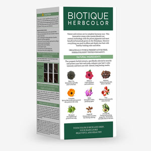 Biotique Bio Herbcolor 1N Natural Black, 50 g + 110 ml (Conditioning Color No Ammonia) I With 9 Organic Herbal Extracts I Last up to 26 Shampoo (4N Brown)