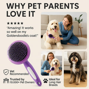 Round Bristle Pet Brush for Dogs and Cats - Soft Dog Brush for Grooming Short or Long Hair - Gentle Tool for Sensitive Skin Removes Dander, Dirt, and Detangles (Purple)
