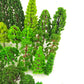 Buy now Tazimi 60 Pieces Model Trees 1.36-6 inch Mixed Model Tree Train Scenery Architecture Trees Fake Trees for DIY Crafts, Building Model, Scenery Landscape Natural Green at indiglob india