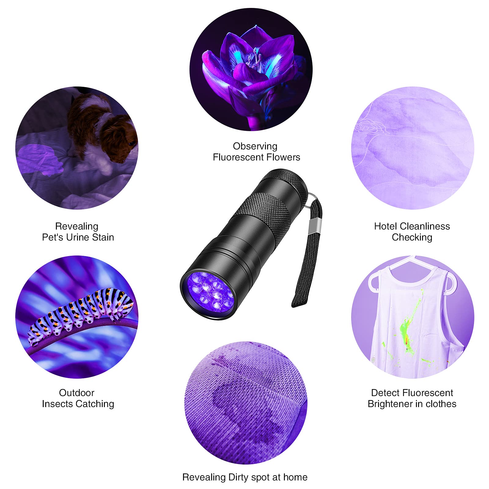 Buy now SEVENKA Black Light Flashlight, 2 Pack 12 LED UV Blacklight Flashlight, 395nm Handheld Mini Torch Light, Professional Urine Detector for Dog Pet Urine Stains, Bed Bugs and Scorpions. at indiglob india