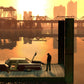 Buy now Grand Theft Auto IV & Episodes from Liberty City: The Complete Edition (Renewed) at indiglob india