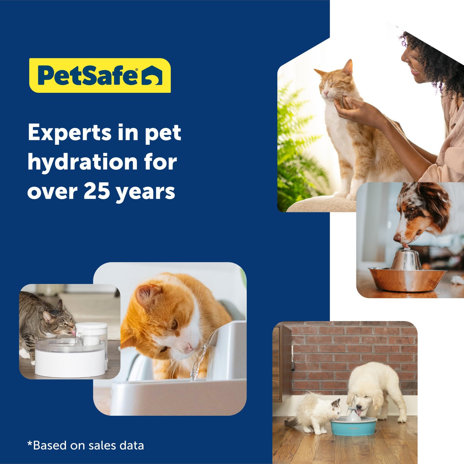Buy now PetSafe ScoopFree Disposable Crystal Cat Litter Tray - Easy Cleaning Box - Refill Tray for Electric Litter Box - Fragrance Free - 4.3 lb Bags - 6 Pack at indiglob india