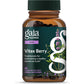 Gaia Herbs Vitex Berry - Supports Hormone Balance & Fertility in Women - 60 Vegan Liquid Phyto-Capsules (30-Day Supply)