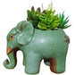 Cute Animal Elephant Shaped Ceramic Succulent Cactus Air Plant Flower Pots Planters-Plant Not Included (Pink&White)