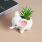 Cute Animal Elephant Shaped Ceramic Succulent Cactus Air Plant Flower Pots Planters-Plant Not Included (Pink&White)