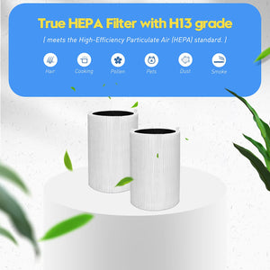 Buy now Blue Pure 411 Replacement Filters for Blueair Blue Pure 411, 411+, 411 Auto and Mini Air Purifier, Include 2 Particle and 2 Activated Carbon at indiglob india