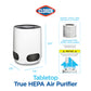 Buy now Clorox Air Purifiers for Bedroom Home, True HEPA Filter, Small Rooms Up to 200 Sq Ft, Removes 99.9% of Mold, Viruses, Wildfire Smoke, Allergens, Pet Allergies, Dust, AUTO Mode, Whisper Quiet at indiglob india