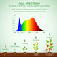 Buy now Grow Light Bulbs, Briignite LED Grow Light Bulb A19 Bulb, Full Spectrum Grow Light Bulb, Plant Light Bulbs E26 Base, 11W Grow Bulb 100W Equivalent, Grow Light for Indoor Plants, Seed Starting, 2Pack at indiglob india