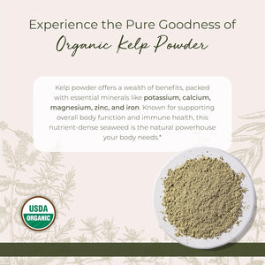Starwest Botanicals Organic Kelp Powder - Nutrient Rich, Natural Source of Iodine, Potassium, Magnesium, Zinc, Iron, & Calcium, Certified Kosher, Non-GMO - 16 oz Bag