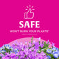 Buy now Scotts Super Bloom Water Soluble Plant Food, 2 lb - NPK 12-55-6 - Fertilizer for Outdoor Flowers, Fruiting Plants, Containers and Bed Areas - Feeds Plants Instantly at indiglob india