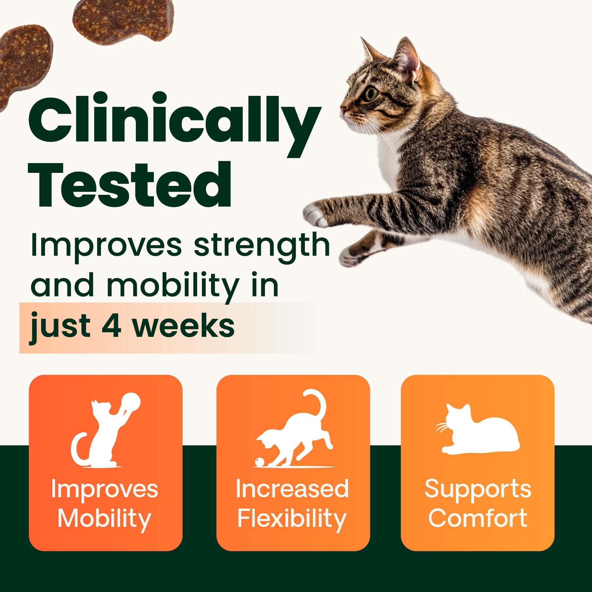 Buy now VetriScience Healthy Hip & Joint Chews, GlycoFlex Glucosamine and Green-Lipped Mussel Joint Support Supplement for Cats, Promote Mobility and Protect Joints, Chicken, 60 Count at indiglob india