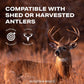 Buy now Mountain Mike's Reproductions Shed Spreader Antler Mounting Kit at indiglob india