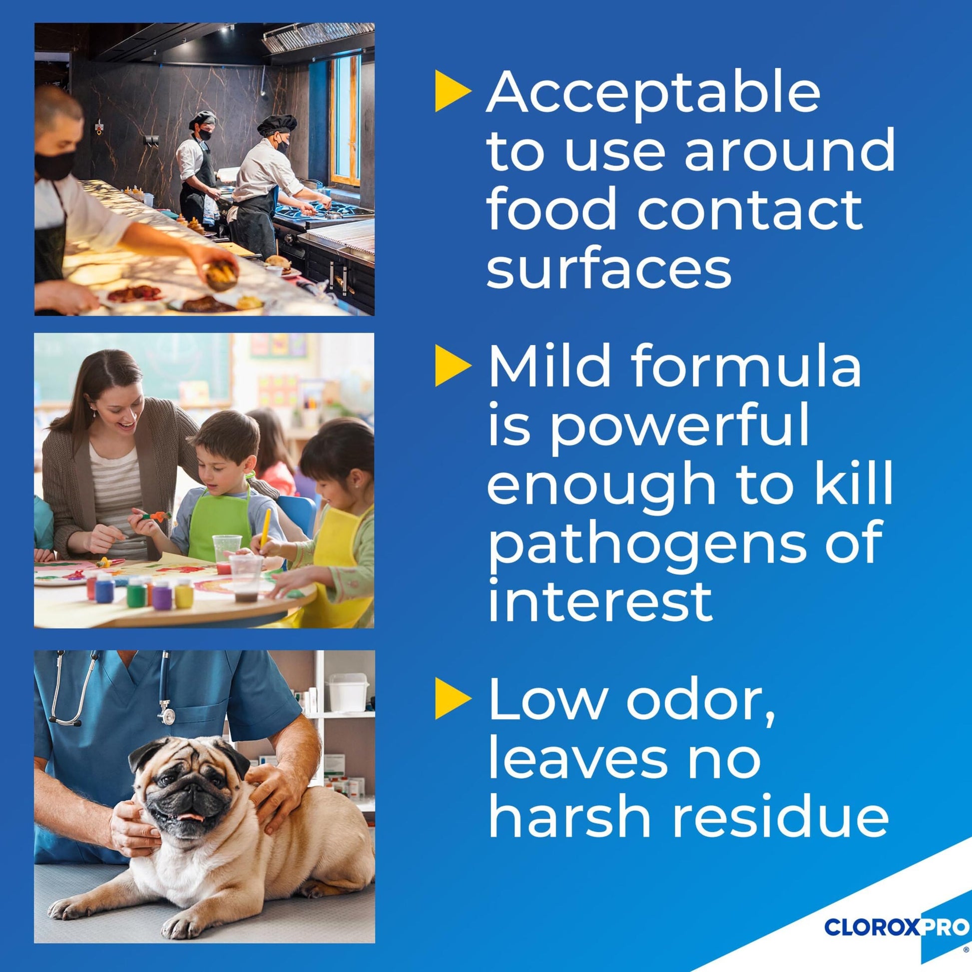 Buy now CloroxPro Anywhere Daily Disinfectant and Sanitizer, No-Rinse Food Contact Sanitizer, 32 Fluid Ounces, Pack of 12 at indiglob india