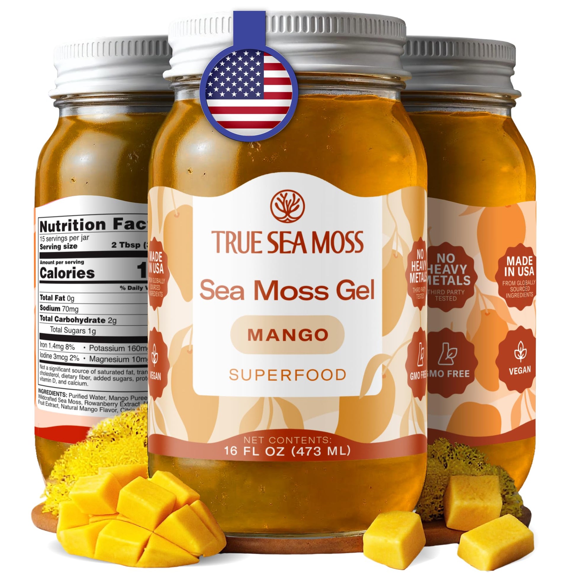 Buy now TrueSeaMoss Sea Moss Gel – Made in USA – Wildcrafted Seamoss, Fruits & Jarred Vegetables – Pineapple, Pack of 1 (Labels may Vary) at indiglob india