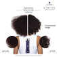 CAVIAR Anti-Aging Replenishing Moisture Shampoo | For Dry, Brittle Hair | Protects, Restores & Hydrates | Sulfate Free