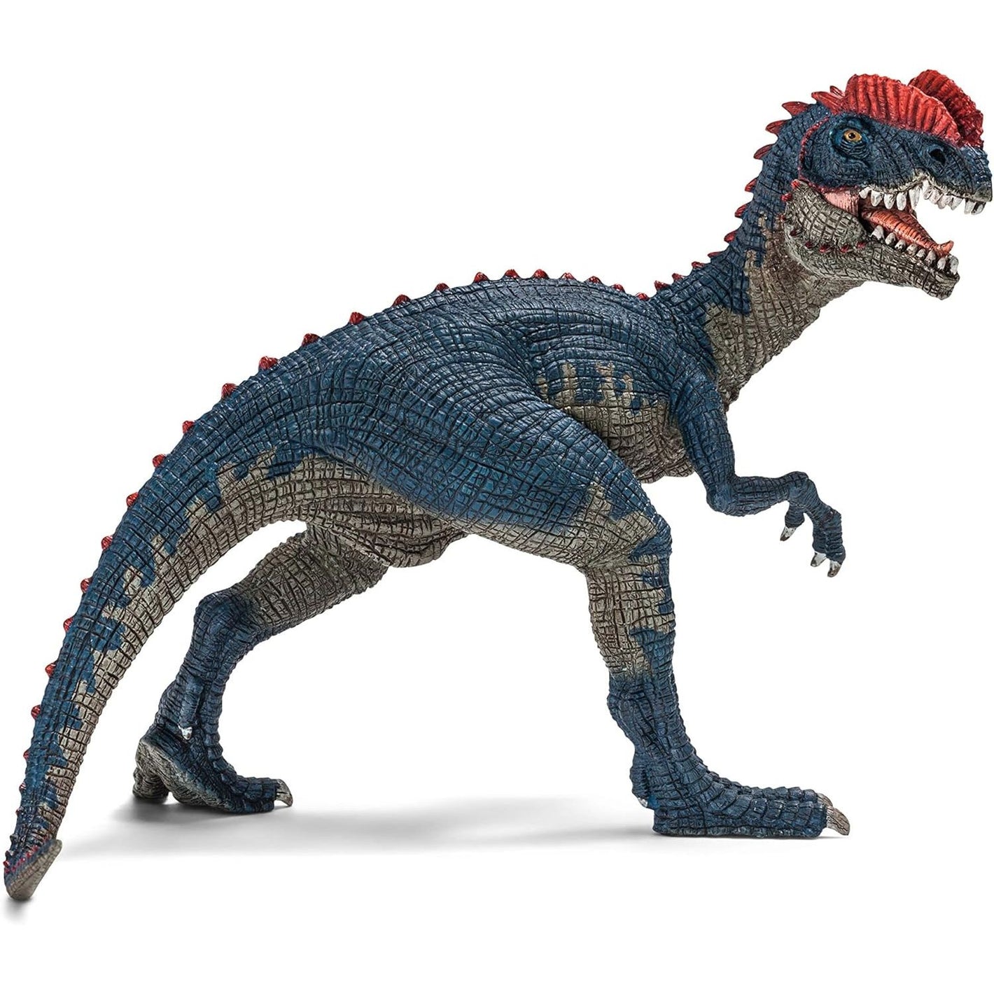 Schleich Dinosaurs, Jurassic Era Velociraptor Dinosaur Toys for Boys and Girls, Dilophosaurus Toy Figure, Ages 4+